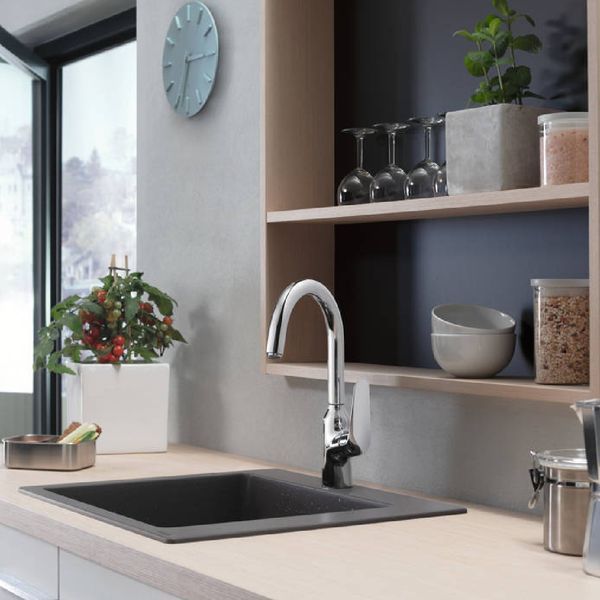 M421-H220 Змiшувач для кухнi, одноважiльний, хром HANSGROHE 71802000 71802000 фото
