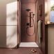 RAINDANCE ALIVE SELECT S ручний душ (3 типи струменів RainAir, PowderRain, Massage), чорний матовий HANSGROHE 24500670 24500670 фото 3