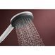 RAINDANCE ALIVE SELECT S ручний душ (3 типи струменів RainAir, PowderRain, Massage), білий матовий HANSGROHE 24500700 24500700 фото 5