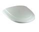 Сиденье крышка для унитаза Villeroy & Boch Century 884361R1 884361R1 фото