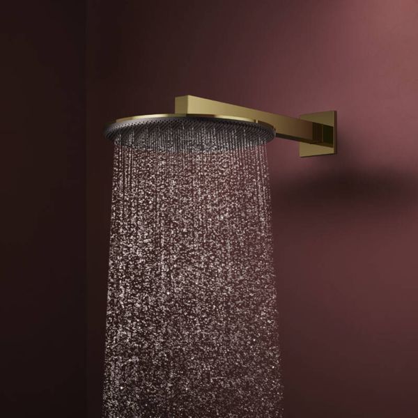 RAINDANCE ALIVE S верхній душ 300мм, 1 режим, колір полірованне золото Hansgrohe 24520990 24520990 фото