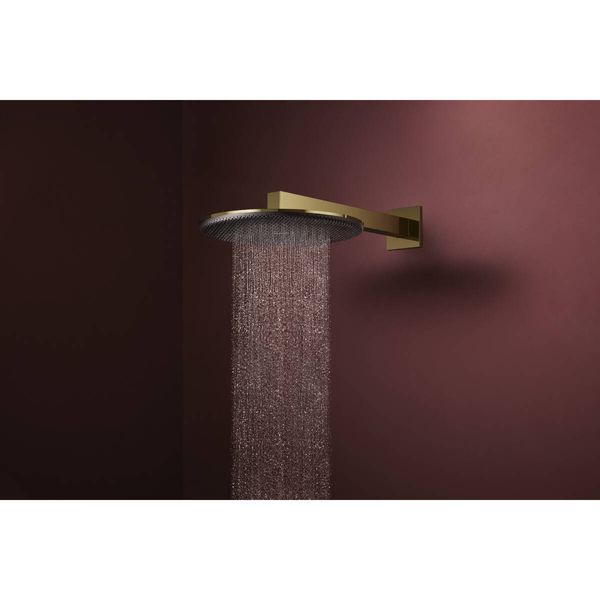 RAINDANCE ALIVE S верхній душ 300мм, 1 режим, колір полірованне золото Hansgrohe 24520990 24520990 фото
