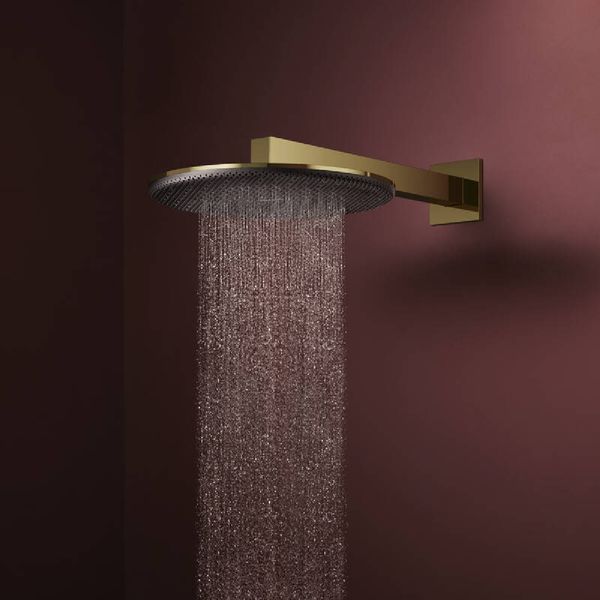 RAINDANCE ALIVE S верхній душ 300мм, 1 режим, колір полірованне золото Hansgrohe 24520990 24520990 фото