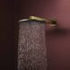 RAINDANCE ALIVE S верхній душ 300мм, 1 режим, колір полірованне золото Hansgrohe 24520990 24520990 фото 4