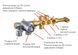 Imprese SMART Click хром. Смеситель врезной, 3 выхода: душ ручной. ZMK101901203 69501 фото 16