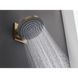 PULSIFY лійка верхнього душа, 1 режим, колір шліфована бронза HANSGROHE 24140140 24140140 фото 4