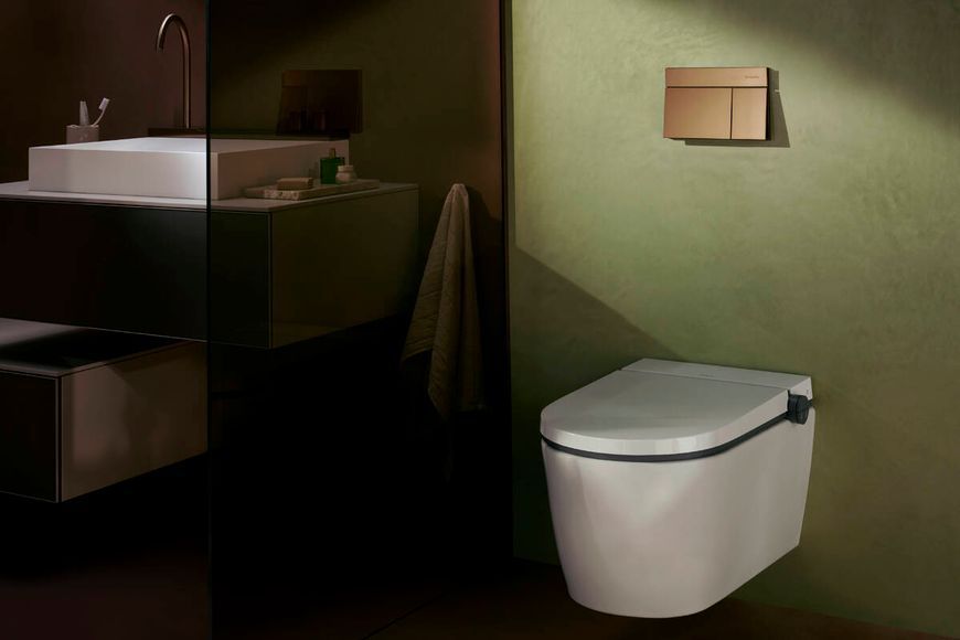iFRAME ELEMENT E змивна клавіша, шліфованна бронза Hansgrohe 66003140 66003140 фото