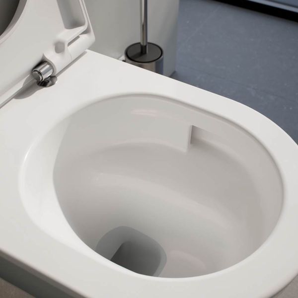 PRO X Rimless/Silent Flush підвісний унітаз, в комплекті з сидінням slow closing, білий LAUFEN H8668600000001 H8668600000001 фото